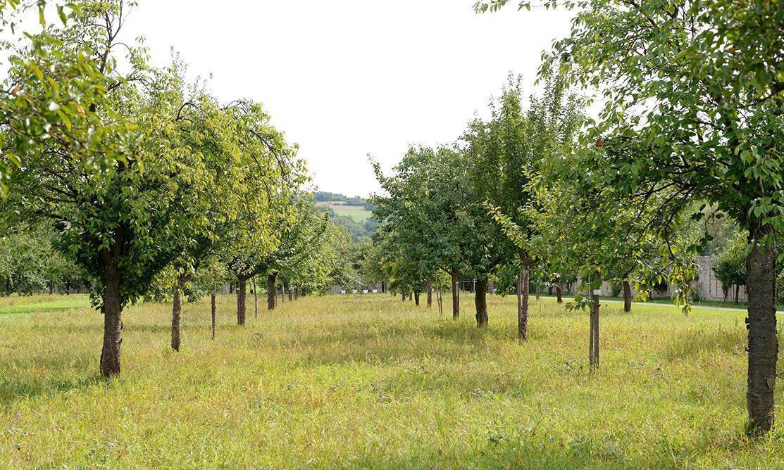 Schloss Weikersheim; Foto: Staatliche Schlösser und Gärten Baden-Württemberg, Niels Schubert Schloss Weikersheim; Foto: Staatliche Schlösser und Gärten Baden-Württemberg, Niels Schubert