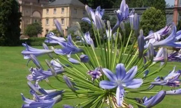 Schloss und Schlossgarten Schwetzingen