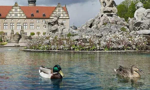 Im Herkulesbrunnen im Garten von Schloss Weikersheim schwimmen die Enten gerne herum