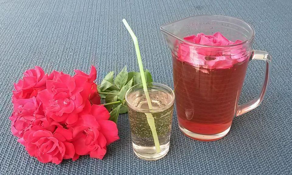 Foto: Staatsanzeiger für Baden-Württemberg GmbH & Co. KG, Cornelia Lindenberg Rosenblütensirup