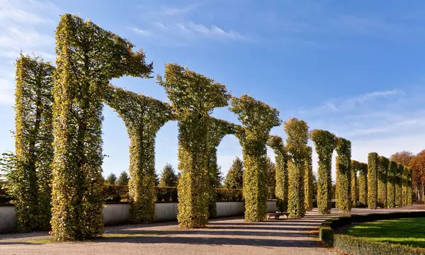 Schlossgarten Schwetzingen