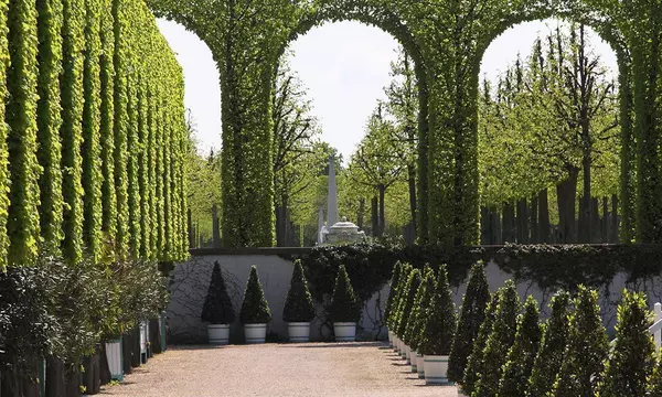 Baumreihen im Schlossgarten Schwetzingen
