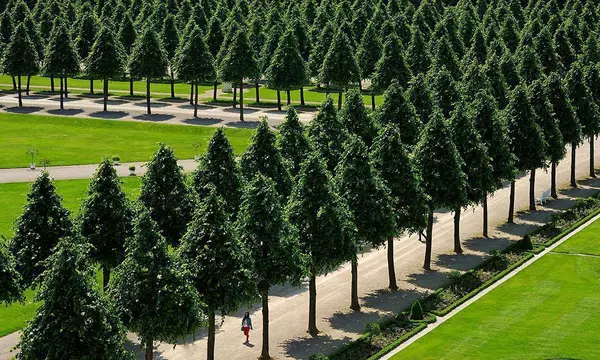 Baumreihen im Schlossgarten Schwetzingen